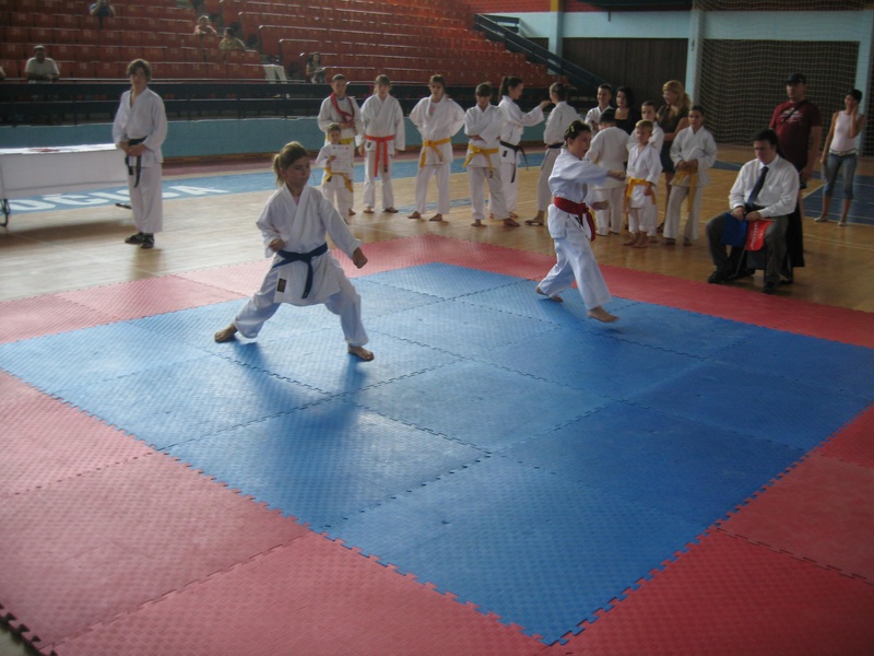 Karate Ipon Leskovac
